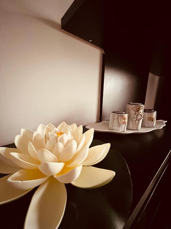 Alice Apartment Αράντ Εξωτερικό φωτογραφία